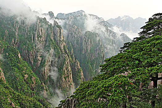 麻醉药地下购买渠道C1B8D97C5-18975
